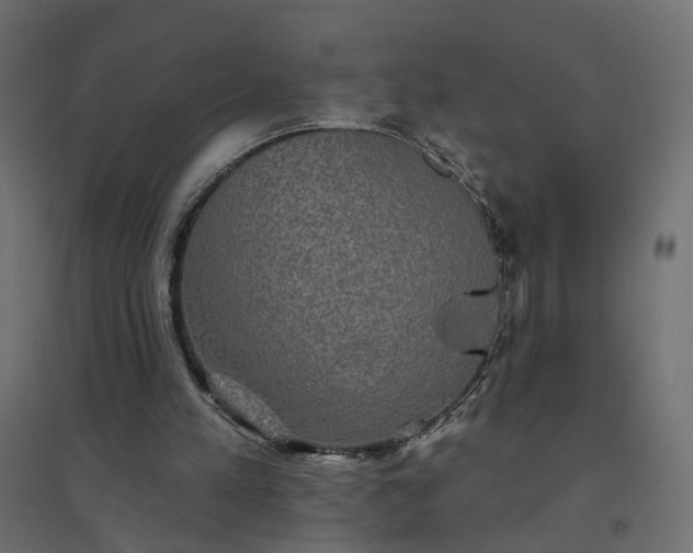 X0000094790197200711241409