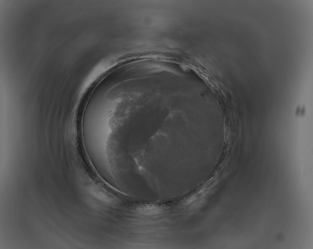 X0000094790198200711241409