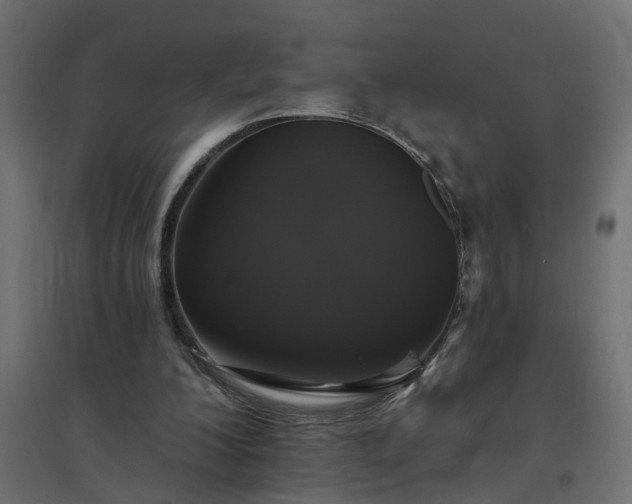 X0000094790200200711241409