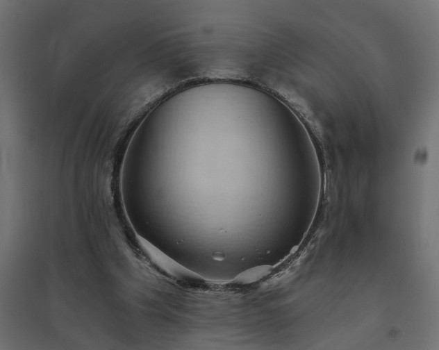 X0000094790201200711241409