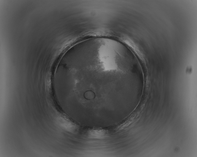 X0000094790202200711241409