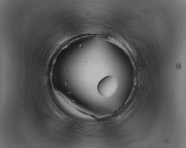 X0000094790203200711241409