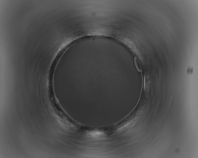 X0000094790204200711241409