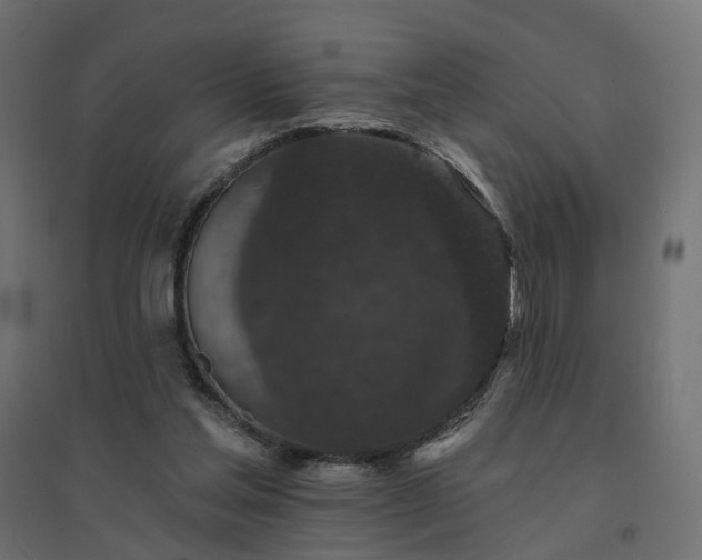 X0000094790205200711241409