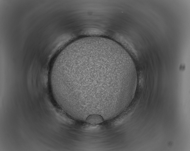 X0000094790206200711241409