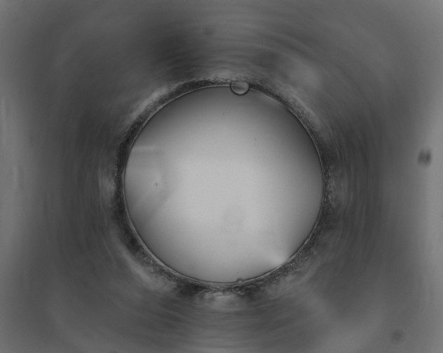 X0000094790208200711241409