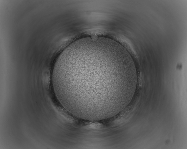 X0000094790210200711241409