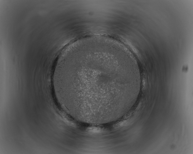 X0000094790211200711241409