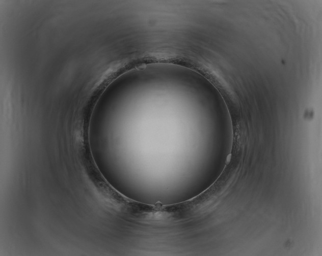 X0000094790212200711241409