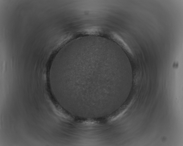 X0000094790213200711241409