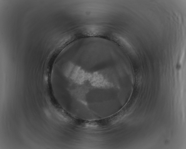 X0000094790214200711241409