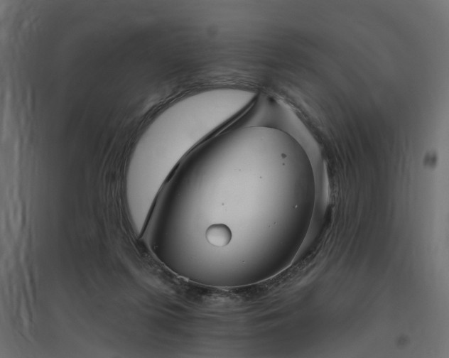 X0000094790215200711241409