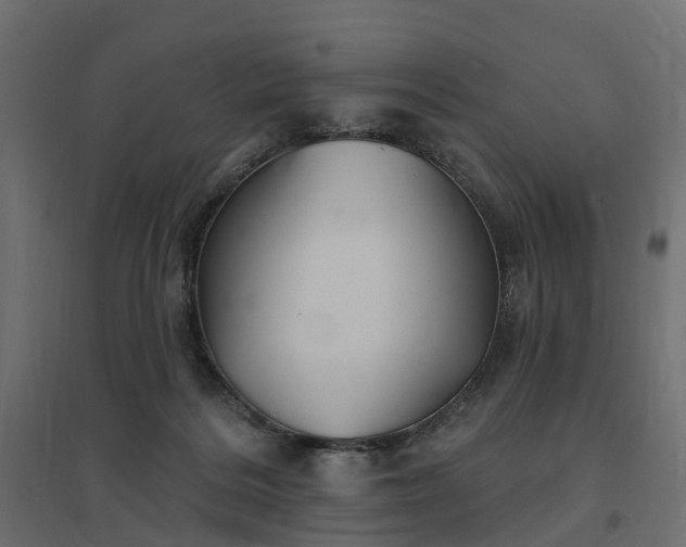 X0000094790220200711241409