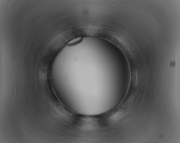 X0000094790221200711241409