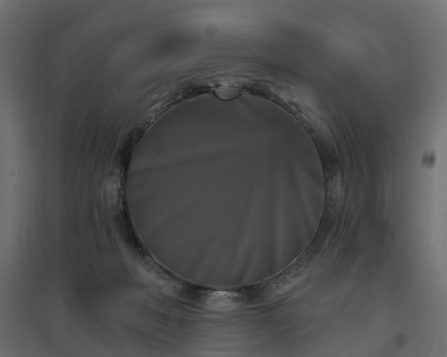 X0000094790222200711241409