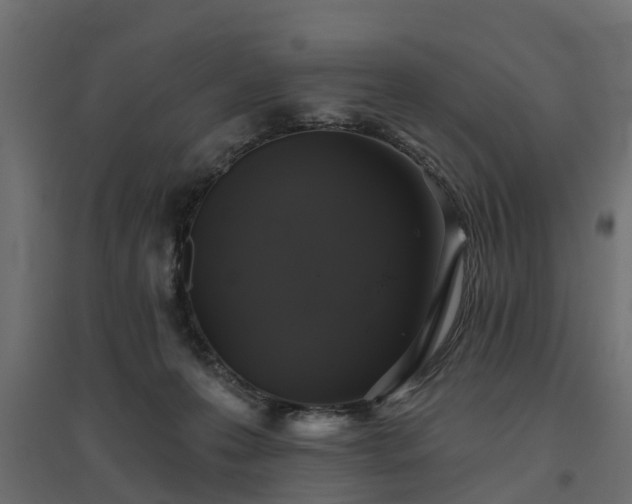 X0000094790223200711241409