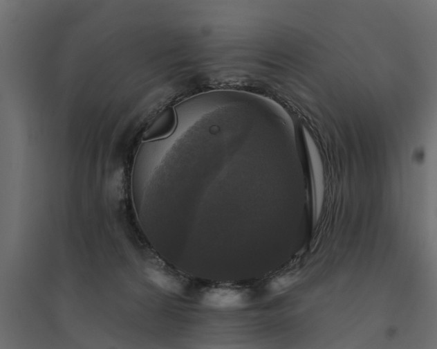 X0000094790224200711241409