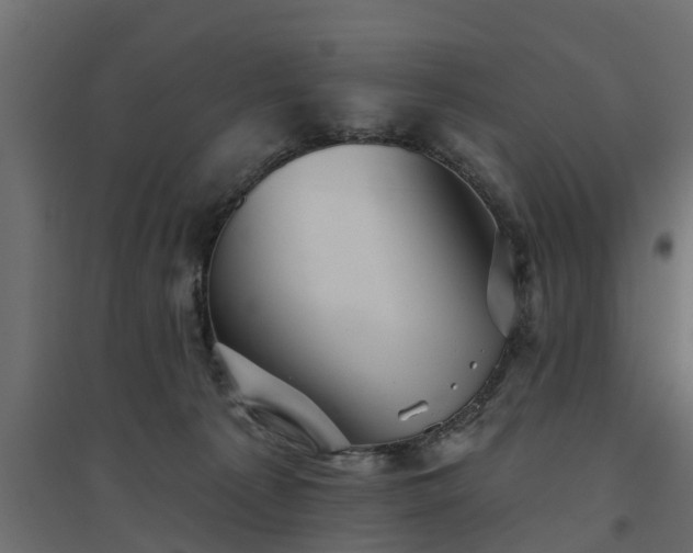 X0000094790225200711241409