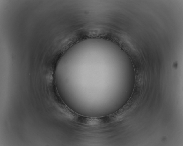 X0000094790226200711241409