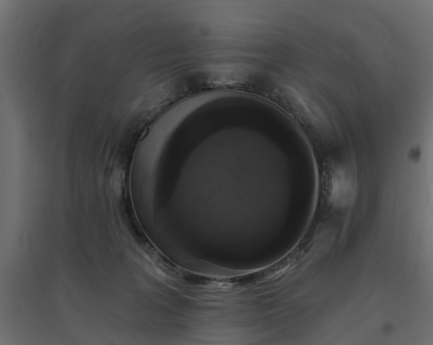 X0000094790227200711241409