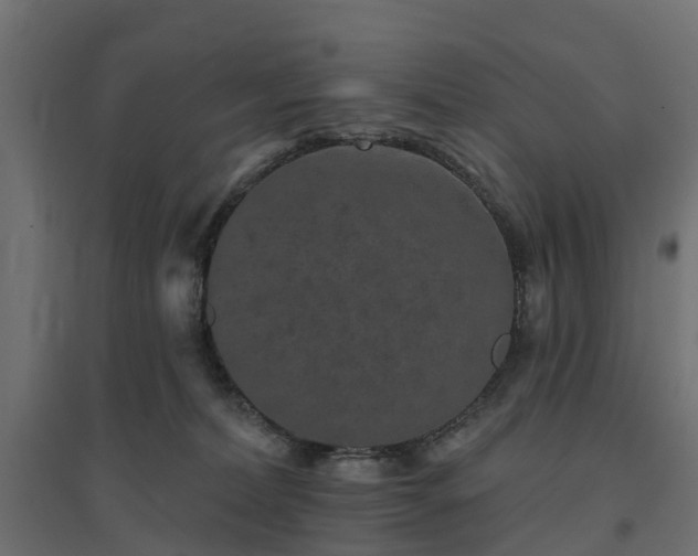 X0000094790228200711241409