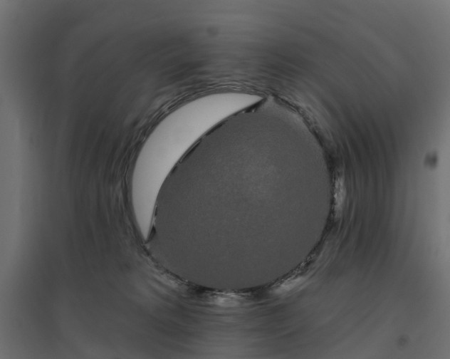 X0000094790229200711241409