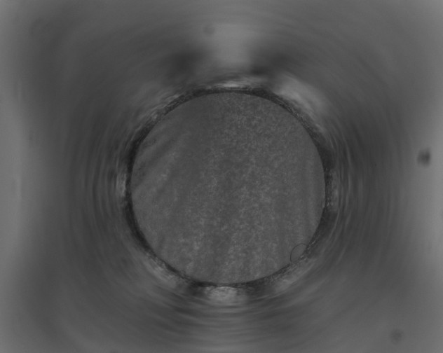 X0000094790230200711241409