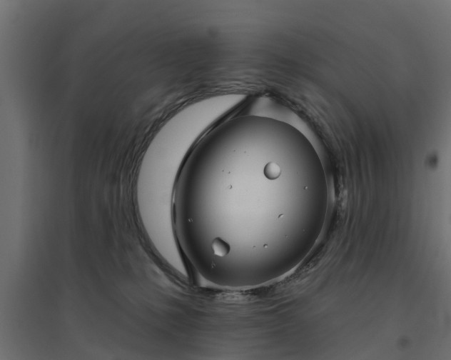 X0000094790231200711241409