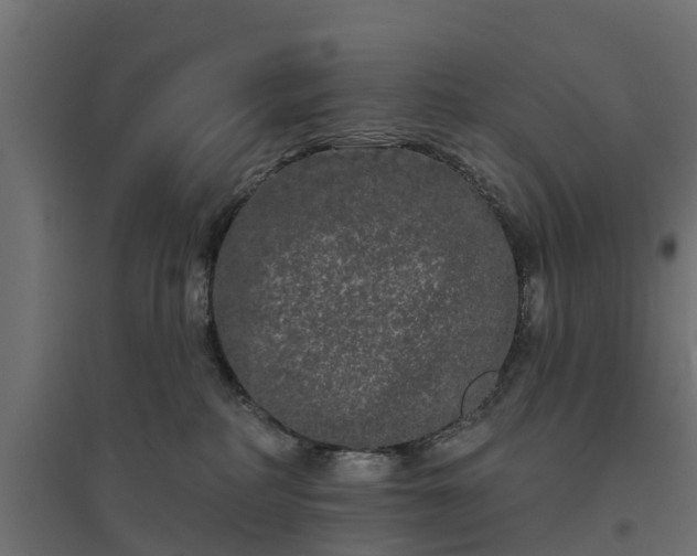 X0000094790234200711241408