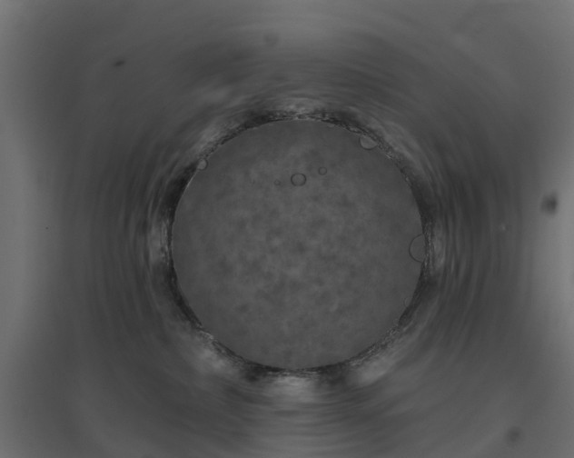 X0000094790236200711241408