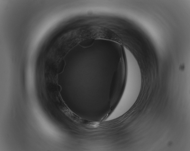 X0000094790239200711241408