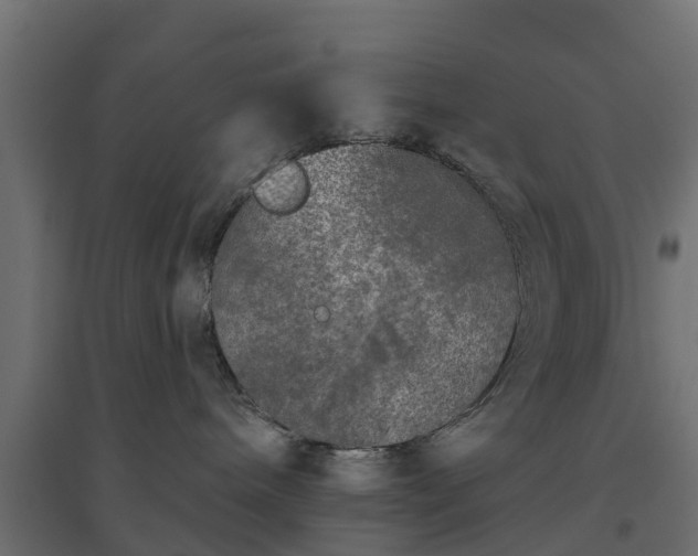 X0000094790240200711241408