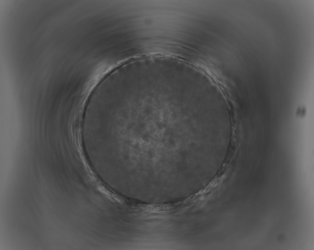 X0000094790241200711241408