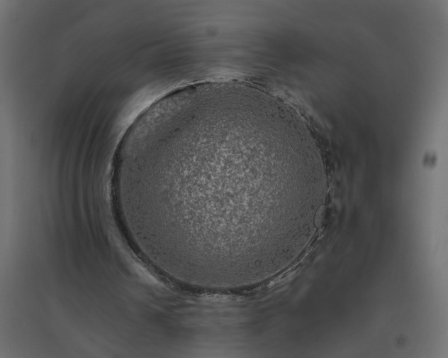 X0000094790242200711241408