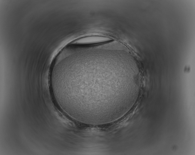 X0000094790244200711241408