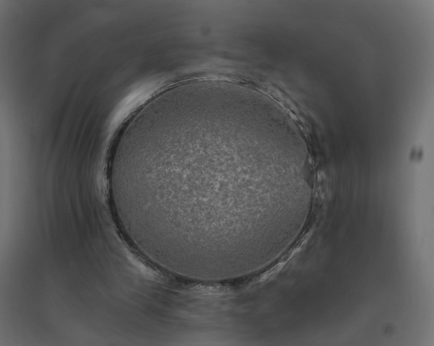 X0000094790245200711241408