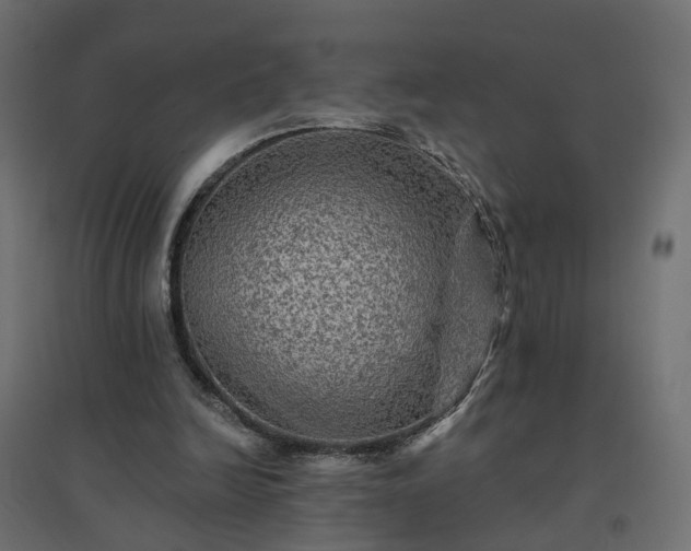 X0000094790246200711241408