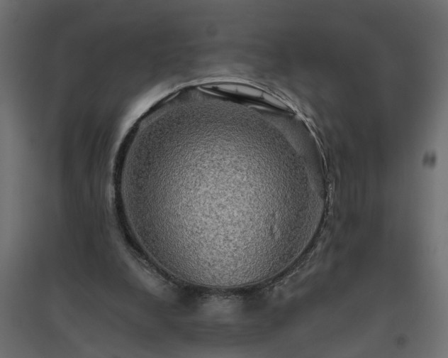 X0000094790248200711241408