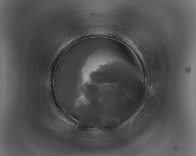 X0000094790249200711241408