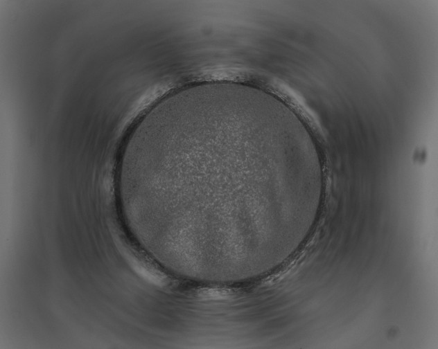 X0000094790250200711241408