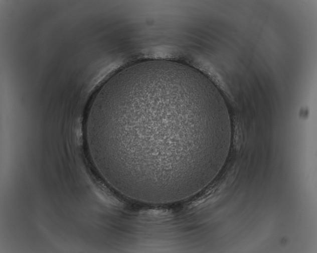 X0000094790251200711241408