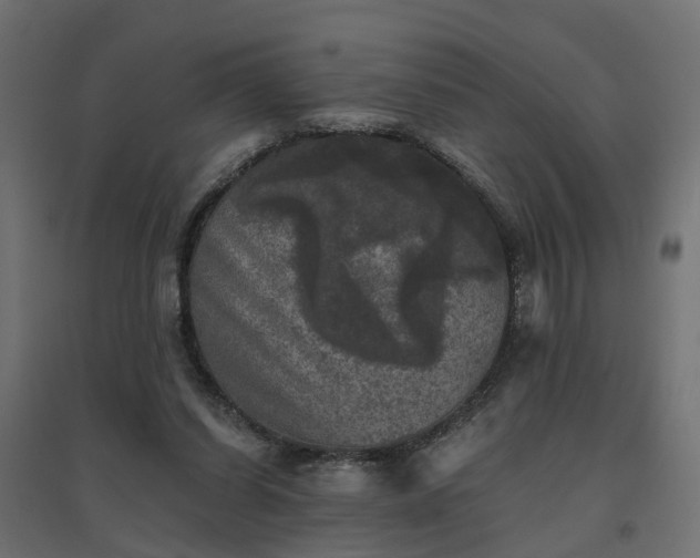 X0000094790254200711241408