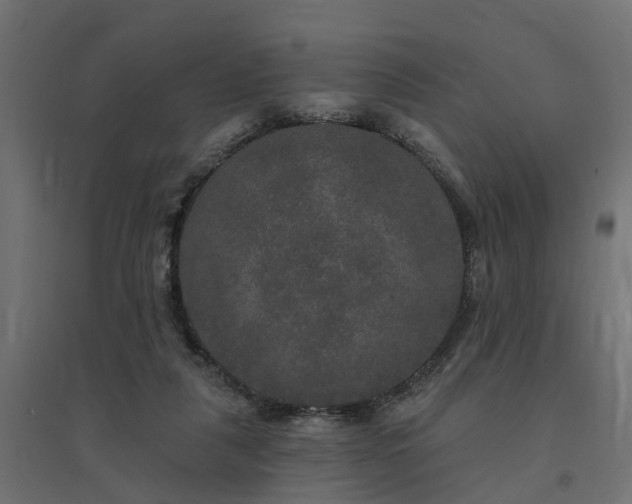 X0000094790259200711241408