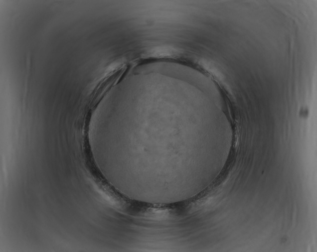 X0000094790260200711241408