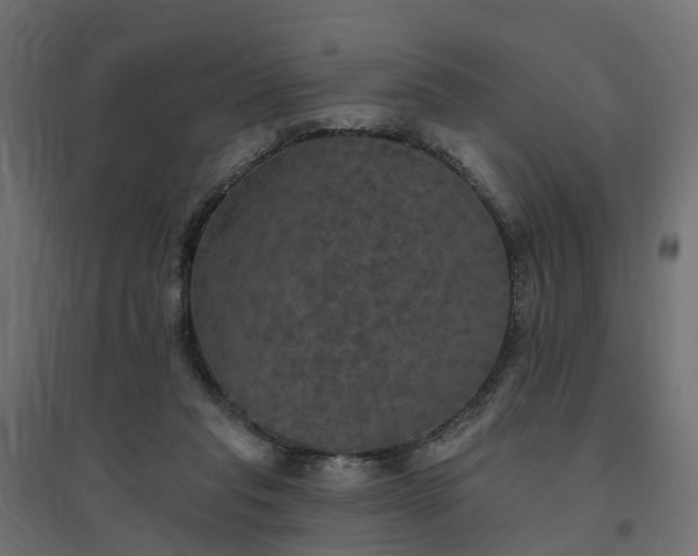 X0000094790261200711241408