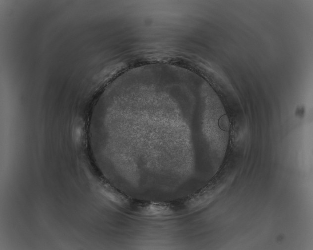 X0000094790270200711241408