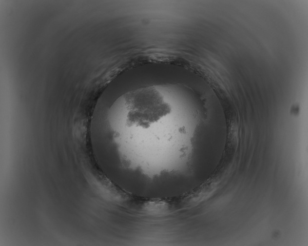 X0000094790271200711241408