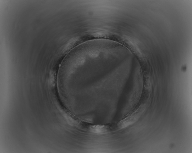 X0000094790273200711241408