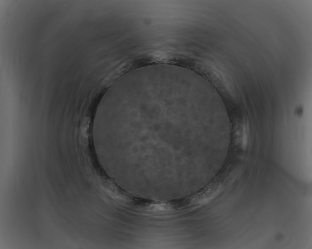 X0000094790275200711241408