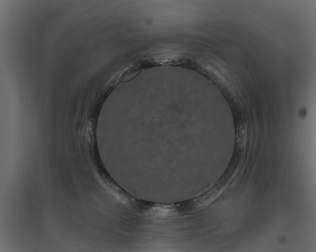 X0000094790280200711241408